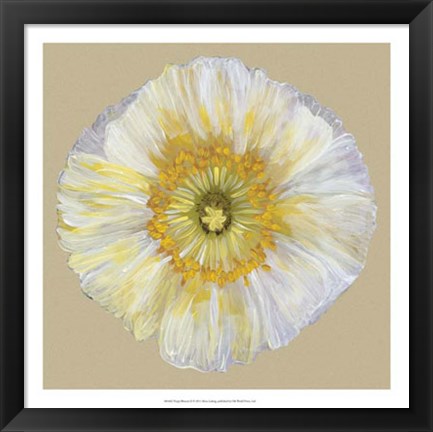 Framed Poppy Blossom II Print