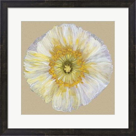 Framed Poppy Blossom II Print