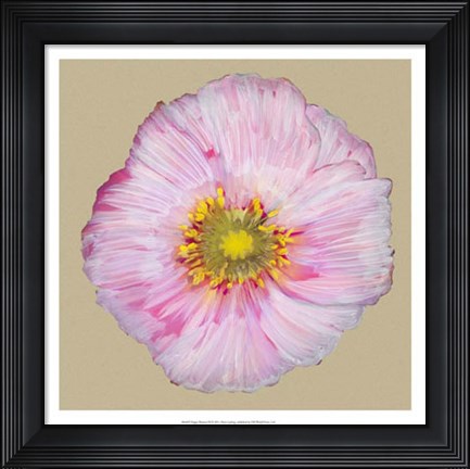 Framed Poppy Blossom III Print