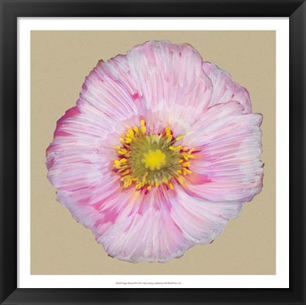 Framed Poppy Blossom III Print