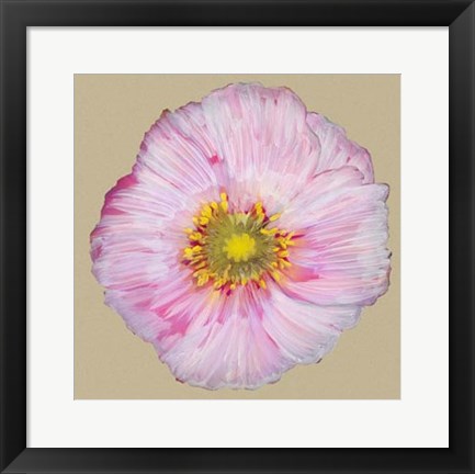 Framed Poppy Blossom III Print