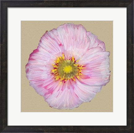 Framed Poppy Blossom III Print