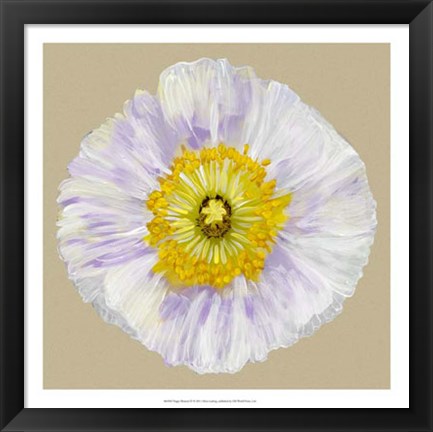 Framed Poppy Blossom IV Print