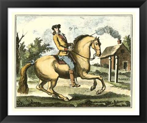 Framed Equestrian Training I Print