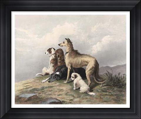 Framed Highland Dogs Print
