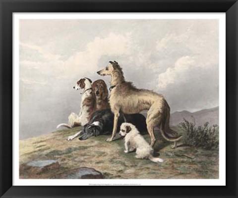 Framed Highland Dogs Print