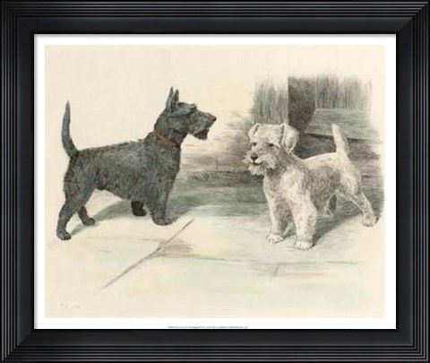 Framed Two Scotties Print