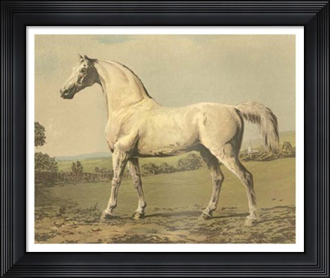 Framed Cassell&#39;s Thoroughbred II Print