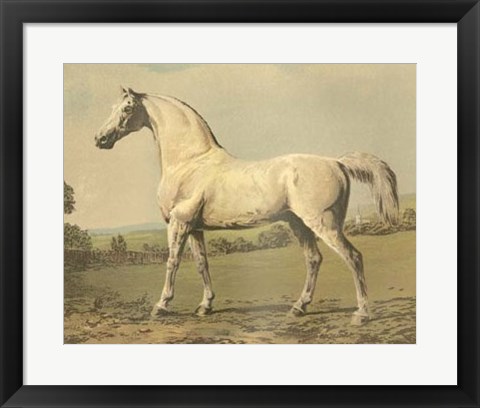 Framed Cassell&#39;s Thoroughbred II Print