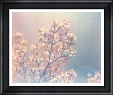 Framed Flowering Dogwood I Print