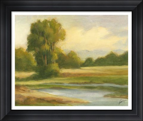 Framed Spring Morning I Print