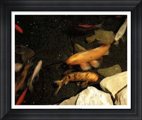 Framed Goldfish Pond I Print