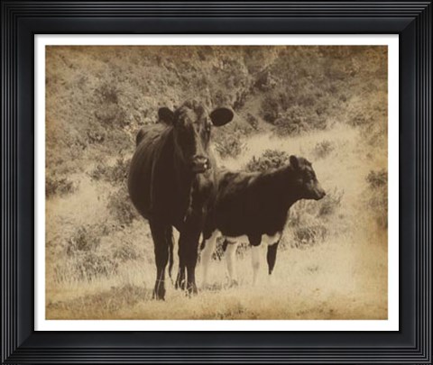 Framed Lone Star Cows I Print