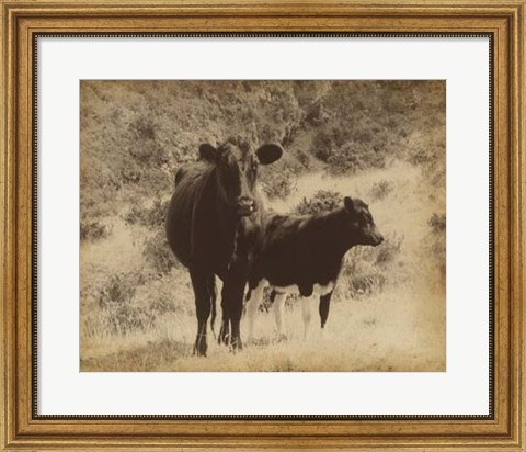 Framed Lone Star Cows I Print