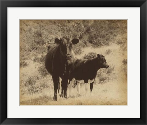 Framed Lone Star Cows I Print