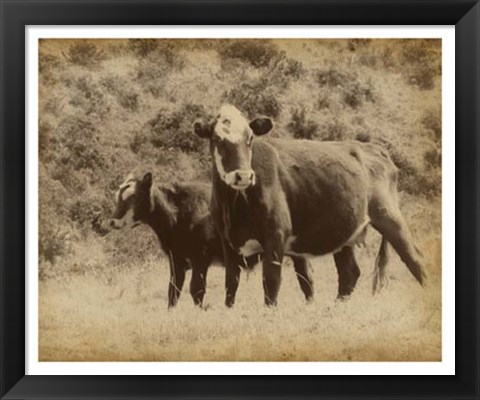 Framed Lone Star Cows II Print