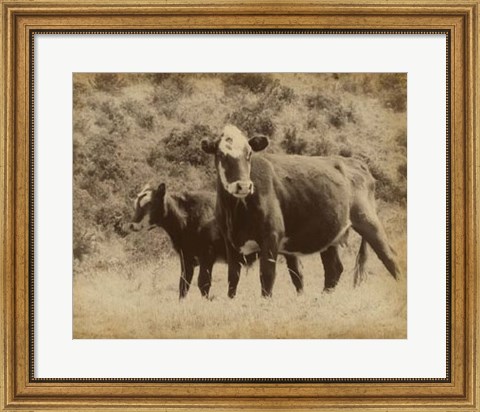 Framed Lone Star Cows II Print