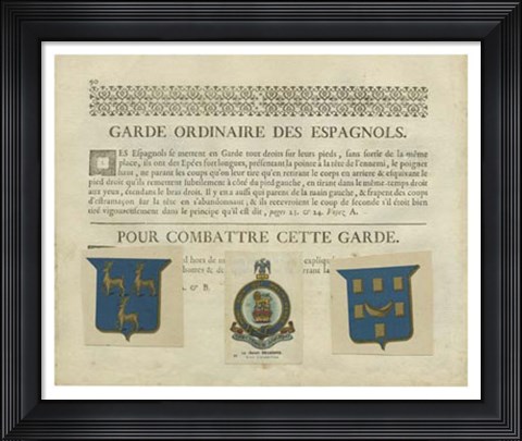 Framed Vintage Armes &amp; Crests II Print