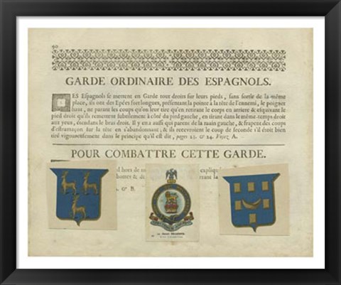 Framed Vintage Armes &amp; Crests II Print