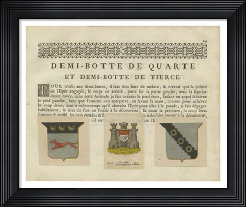 Framed Vintage Armes &amp; Crests IV Print