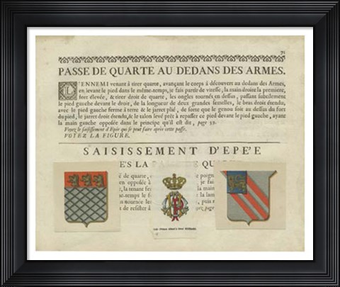 Framed Vintage Armes &amp; Crests V Print