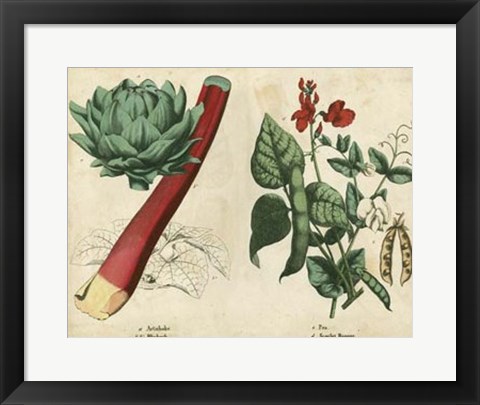 Framed Kitchen Vegetables &amp; Roots II Print