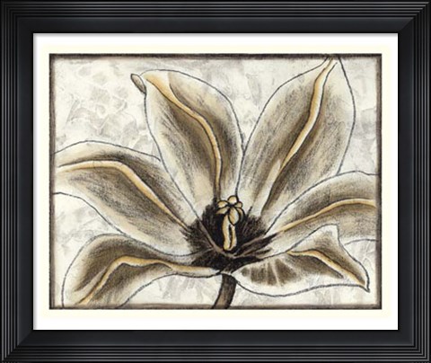 Framed Fresco Flowerhead III Print