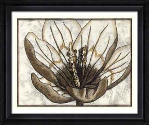 Framed Fresco Flowerhead IV Print