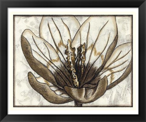 Framed Fresco Flowerhead IV Print