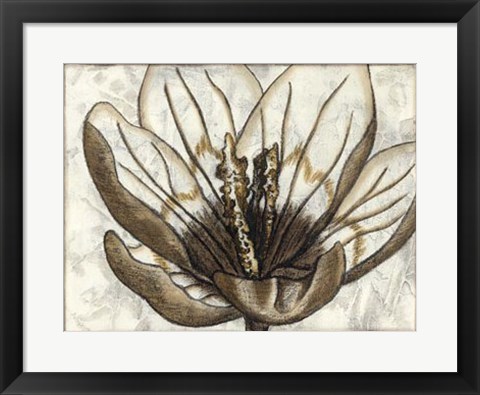 Framed Fresco Flowerhead IV Print