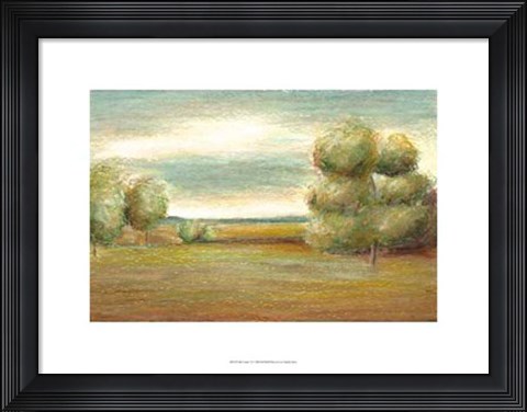 Framed Idle Country VI Print