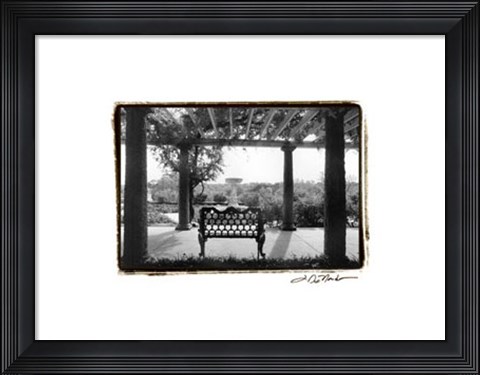 Framed Garden Elegance I Print