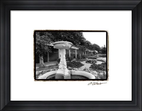 Framed Garden Elegance II Print