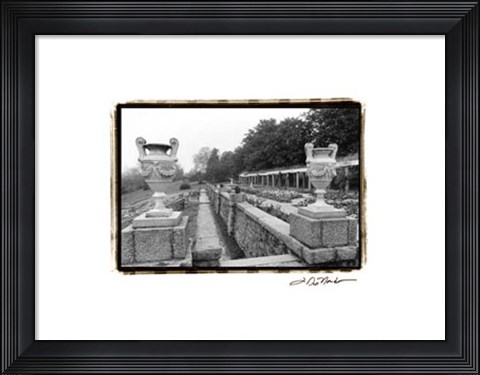 Framed Garden Elegance III Print