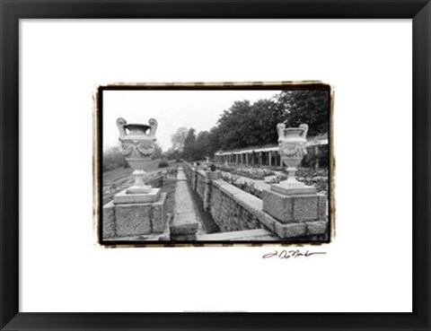 Framed Garden Elegance III Print