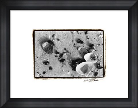 Framed Sand Treasures I Print
