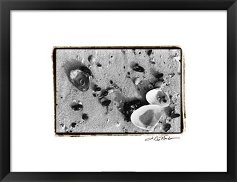 Framed Sand Treasures I Print