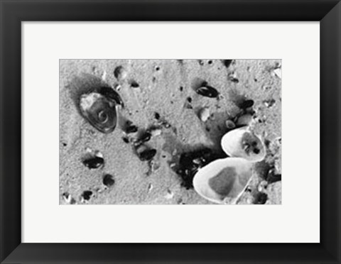 Framed Sand Treasures I Print