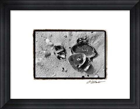 Framed Sand Treasures II Print
