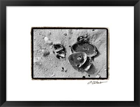 Framed Sand Treasures II Print