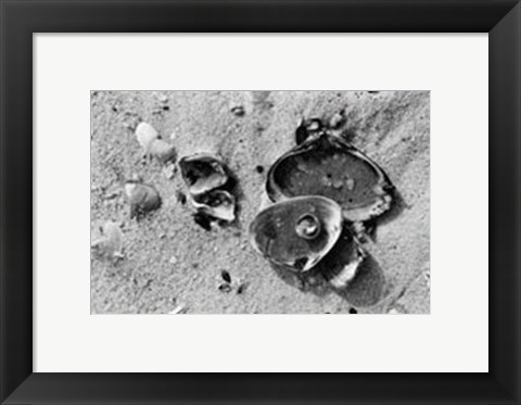 Framed Sand Treasures II Print