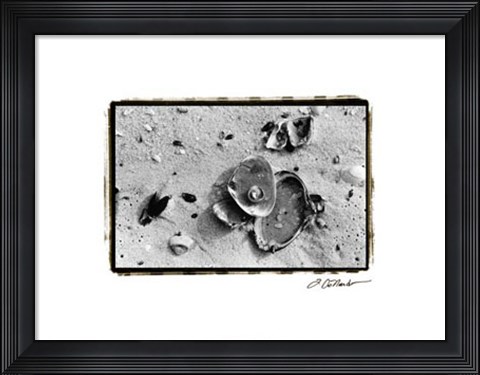 Framed Sand Treasures III Print