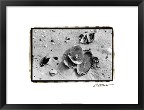 Framed Sand Treasures III Print