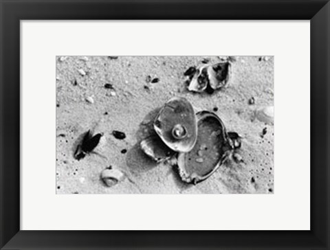 Framed Sand Treasures III Print