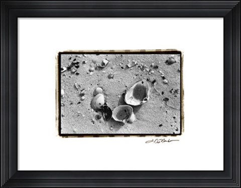 Framed Sand Treasures IV Print