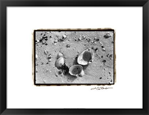 Framed Sand Treasures IV Print