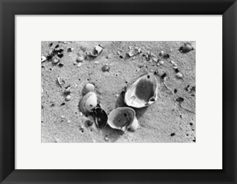Framed Sand Treasures IV Print
