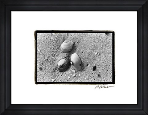Framed Sand Treasures V Print