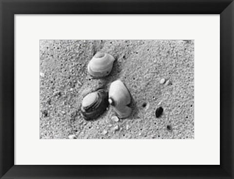 Framed Sand Treasures V Print