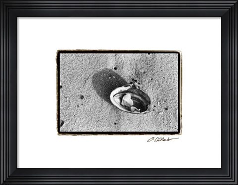 Framed Sand Treasures VI Print